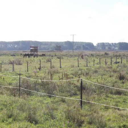Strandhaus Glowe Værelse billede